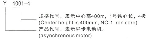 西安泰富西玛Y系列(H355-1000)高压YKK5003-10/400KW三相异步电机型号说明