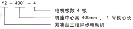 YR系列(H355-1000)高压YKK5003-10/400KW三相异步电机西安西玛电机型号说明